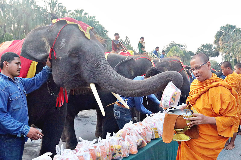 Thailand celebrates National Elephant Day today, March 13th, 2018 - The  Pattaya News