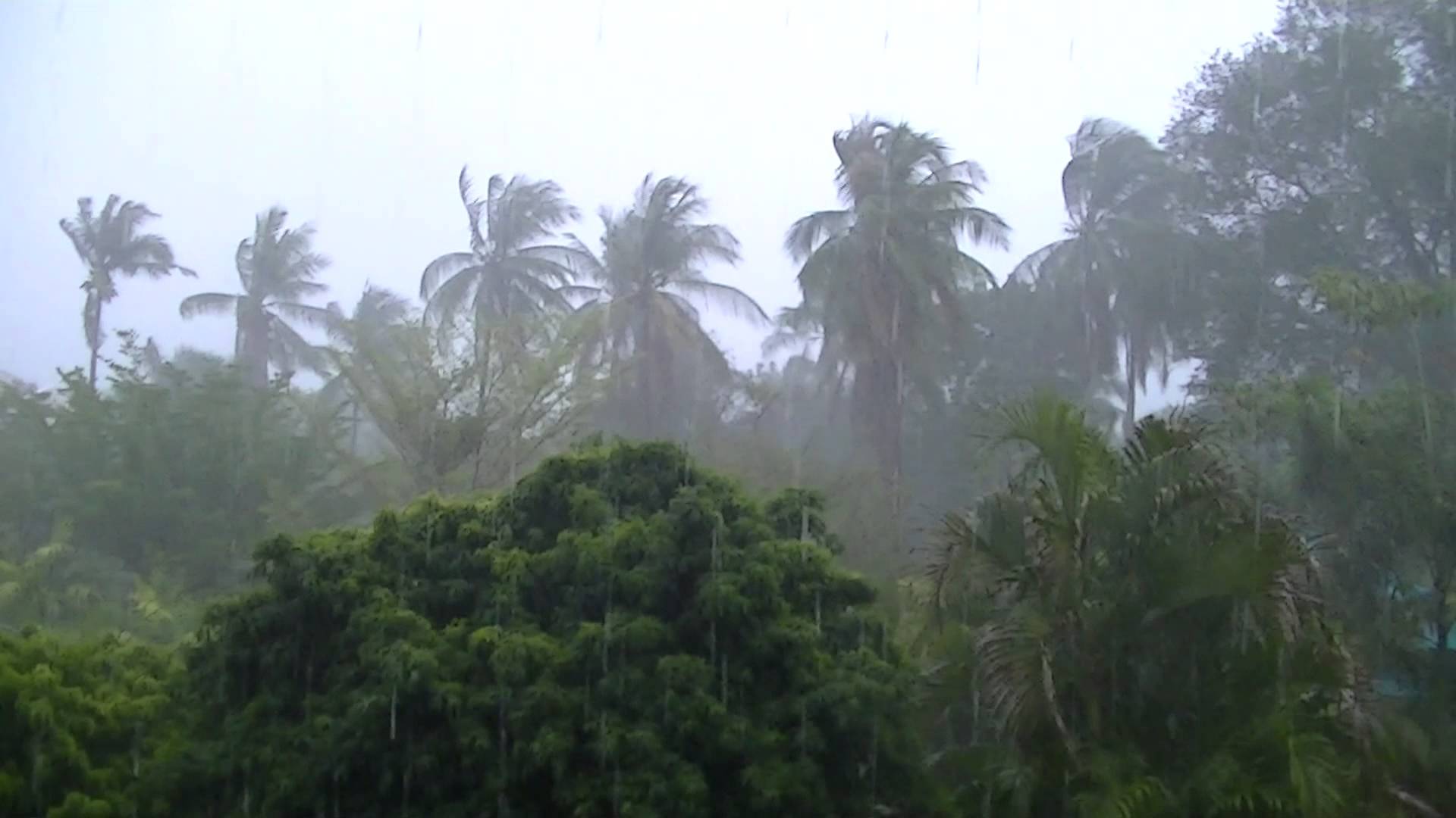 Край муссонов. Тропический шторм в Таиланде. Тропический дождь в Таиланде. Муссоны в Китае. Муссоны в Тайланде.