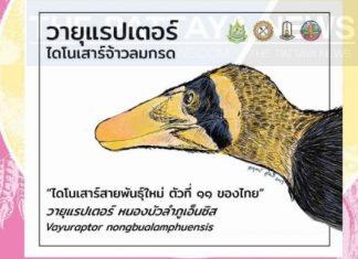 New dinosaur never found in Thailand before discovered in North East Thailand