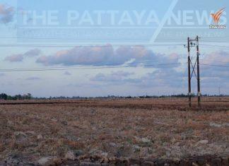 Таиланду грозит самая сильная засуха за последние пять лет в следующем году, говорит ведущий профессор по изменению климата