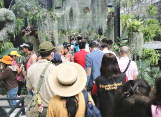 Совет по туризму Таиланда заявляет, что коронавирус, вызвавший запрет Китая на групповые туры, обойдется Таиланду как минимум в 50 миллиардов бат.