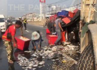 100,000 baht of seafood spilled on road during accident in Chonburi