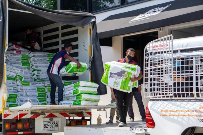 09-04-2020NP (5 of 51).jpg