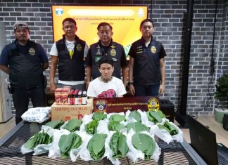 Accused drug dealer arrested with kratom and cough syrup in Banglamung area