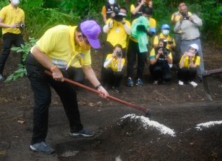 Thai Prime Minister leads tree planting ceremony in Chiang Mai in honor of His Majesty the King