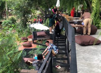 New Elephant watching cafe launches in Pattaya