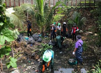 Un python de deux mètres de long capturé lors de la campagne de nettoyage de Pattaya