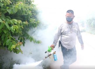 Banglamung sees increase in serious mosquito carried virus Â