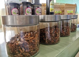 Thailand to promote cricket farming for international trade business
