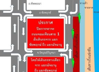 Jomtien road to be one way traffic this Sunday morning for the Dolphin Run for charity