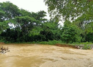 Местные жители в провинции Транг страдают от сильных наводнений, вызванных муссонными дождями и тропической депрессией Линфа, обрушившейся сегодня на Таиланд.