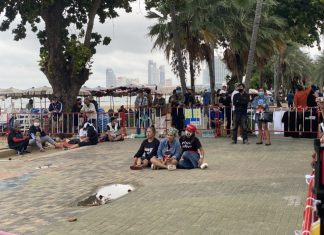Teenagers protest on Pattaya beach calling for democratic reform in Thailand
