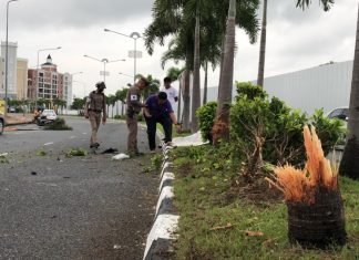 Pattaya motorbike driver killed after crashing into tree