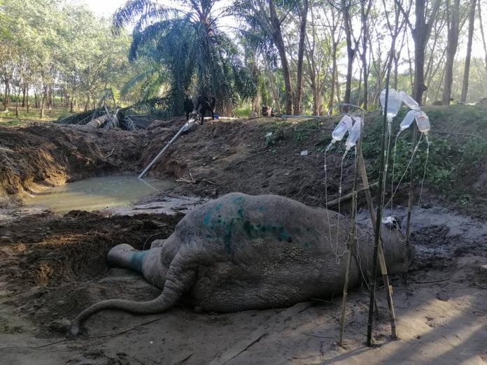 123929241_2386824831462989_941947606117289266_n