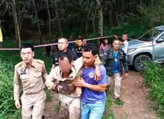 One dead after reportedly being attacked by wild elephant in Chonburi, third elephant related death in twenty days