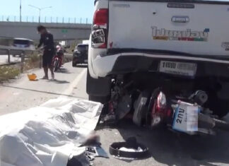 Driver killed after his motorbike collides with pickup truck in Chonburi