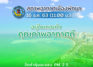 Pattaya air pollution getting better but root cause of problem must be addressed say social media users