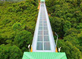 New glass sky bridge in Si Racha is big domestic tourism hit
