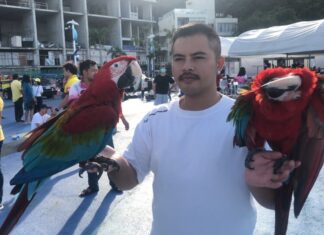 Видео-взгляд на чемпионат Grand Flight Bird Racing Championship в Паттайе