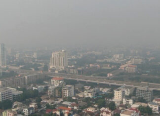 Car manufacturers to make maintenance discount offers to help reduce air pollution in Thailand