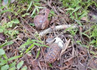 Two live grenades safely defused after being found in forest near local residence in Rayong province