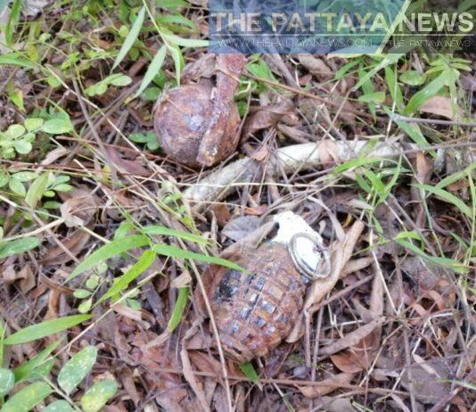 Two live grenades safely defused after being found in forest near local residence in Rayong province