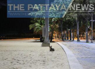 Pattaya under Covid-19 restrictions overnight with everything closed: Photo tour