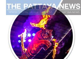 Si Racha Tiger Zoo owner confirms they are not permanently closing