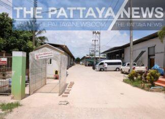 Rayong Covid -19 cases rise to 92, new cluster found at a mushroom farm