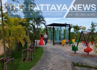 Feature: Pattaya’s top local stories from the past week-New park completed, bar owners plead to be allowed to open, Koh Larn opens, and more!
