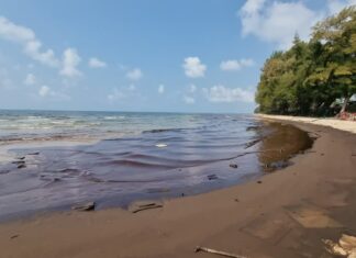 Mae Ramphueng Beach in Rayong temporarily closed due to oil spill
