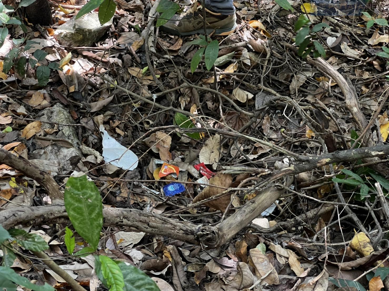 Local residents outraged after several used condoms and toilet papers found scattered in Pattaya public park