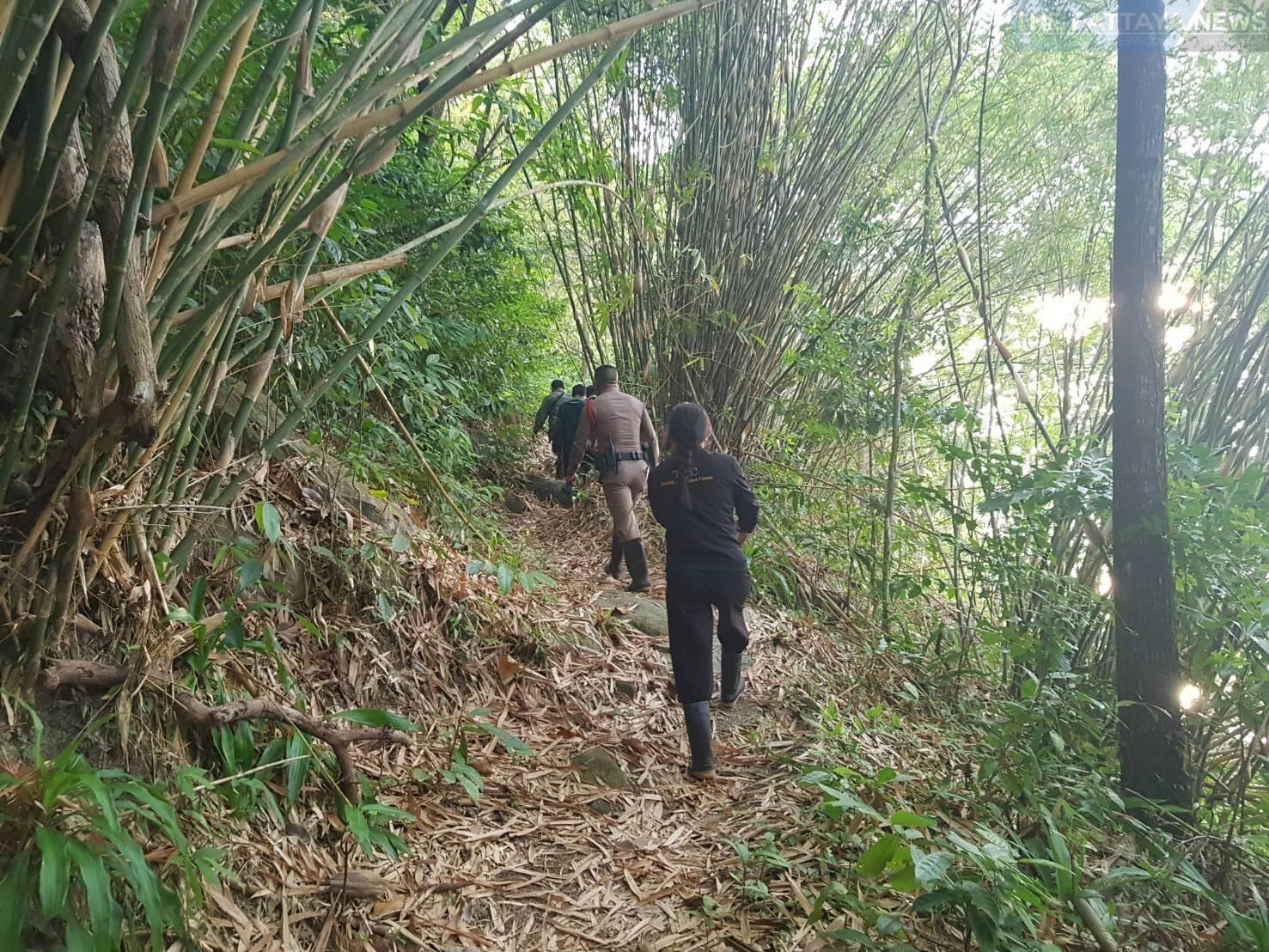 American tourist rescued after getting lost in the Thalang jungle in Phuket