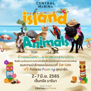 Meet with all kinds of furry friends at IslandAnimals at Central Marina starting June 2nd!