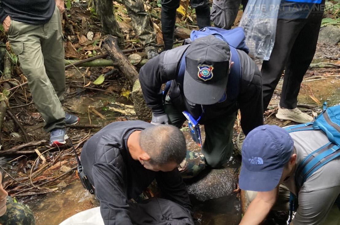 UPDATE: More details released on 76-year-old German tourist missing since May 9th found alive 15 kilometers from her hotel in Mai Khao, Thalang