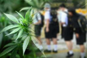 Thai Education Ministry bans sale of food and drinks with cannabis and cannabis use for recreational purposes at its educational institutions