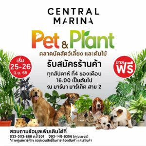 Pet and Plant market offers free space for vendors at Pattaya Central Marina mall