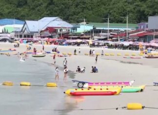 Pattaya to hold Pattaya International Windsurfing Cup 2022 from July 21st-24th