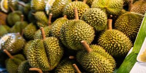 More than 500,000 tons of Thai durians exported to China within six months this year, breaking its previous record in 2021