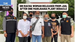 Video: Woman arrested for one marijuana plant in Sri Racha released, police involved under investigation