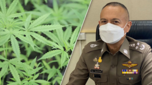 Prisoners involved in marijuana offenses to be released after official legalization on June 9th in Thailand
