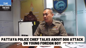 Video: Pattaya Police Chief discusses dog attack on a young foreign boy in Pattaya, next steps being taken