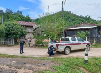 Three people including a four-year-old girl, dog, and cat die when intoxicated man high on methamphetamine goes on a shooting rampage in Chiang Rai
