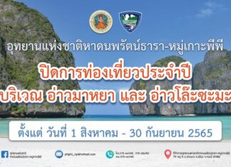 Maya Bay in Krabi to temporarily close for two months for environmental recovery