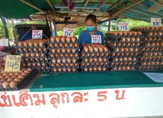 Dozens of eggs worth almost ten thousand baht stolen from Pattaya area egg merchant