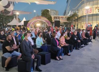 A look at the week ahead in Thailand news: Pattaya Festival, Cannabis laws to go to Parliament, and more