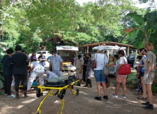 Два американских туриста и погонщик ранены после падения со слона в Паттайе