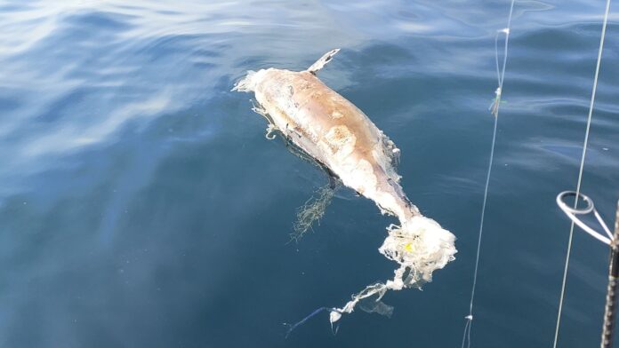 154E6208-550E-47D2-9D3B-82C586C332AF