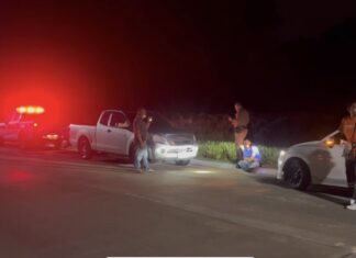 Пьяный мужчина арестован по подозрению в сексуальном насилии над собаками Сои в Паттайе.