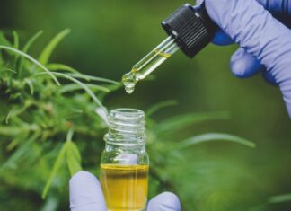 More than 5,000 Thai researchers file official document to Thai government to show support of passing draft cannabis bill